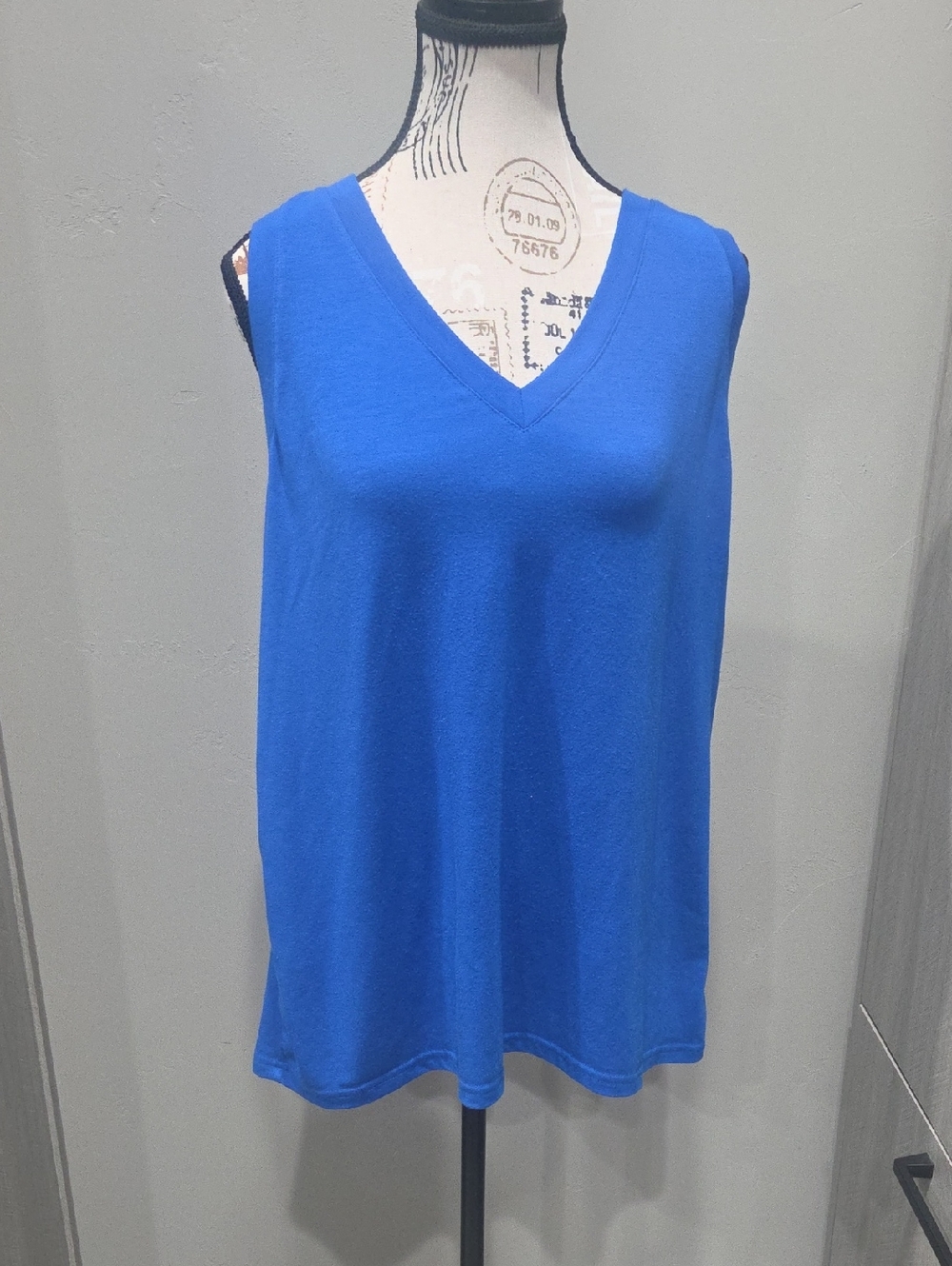 Sleeveless V-Neck Blue Women's Top